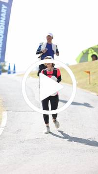 BIB:  <button type="button" onclick="openModal(27788299)" class="btn btn-primary btn-sm float-right" data-toggle="modal" data-target=".modal-high-quality">
                <i class="fa fa-download"></i> Download
                </button>